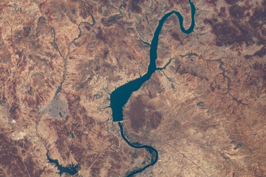 Wissenschaftliche Highlights der Raumstation: Woche vom 4. Juli 2022 – NASA