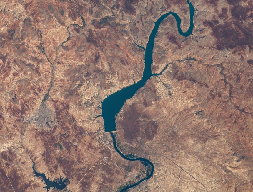 Wissenschaftliche Highlights der Raumstation: Woche vom 4. Juli 2022 – NASA