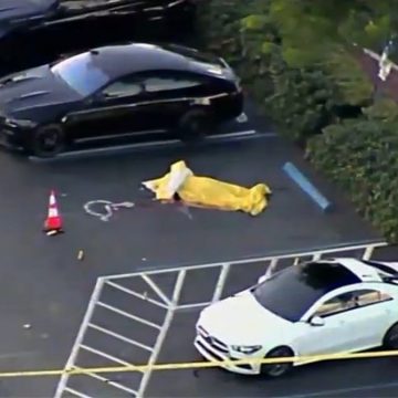 Untersuchung, nachdem eine Leiche auf dem Parkplatz des Hallandale Beach Adult Entertainment Club gefunden wurde – NBC 6 South Florida