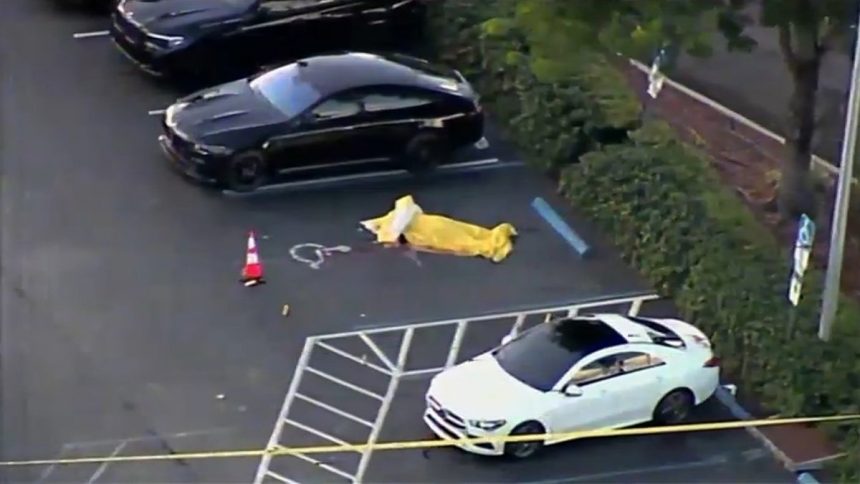 Untersuchung, nachdem eine Leiche auf dem Parkplatz des Hallandale Beach Adult Entertainment Club gefunden wurde – NBC 6 South Florida