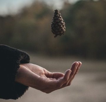 Wissenschaft und ihre Verbindung zu Geschichten – The Good Men Project