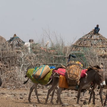 Eine wachsende Gesundheitskrise am Horn von Afrika, während sich akuter Hunger ausbreitet