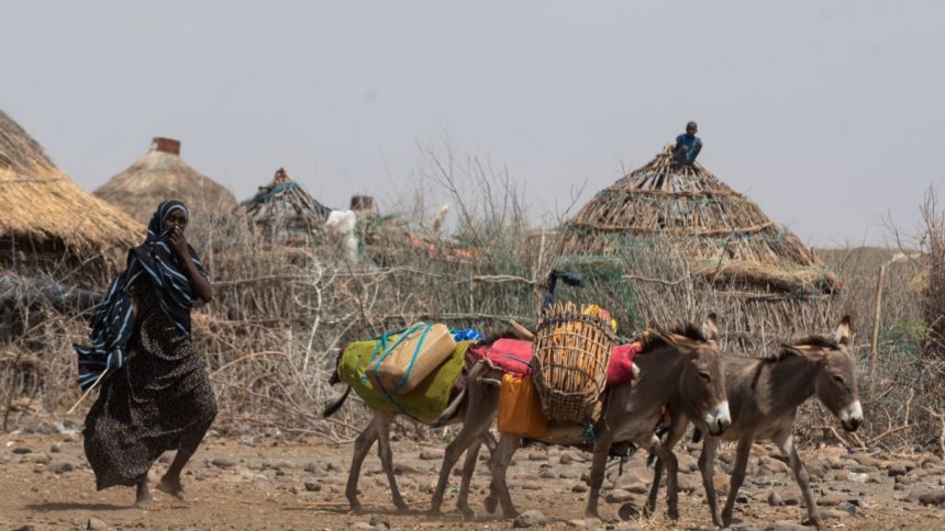 Eine wachsende Gesundheitskrise am Horn von Afrika, während sich akuter Hunger ausbreitet