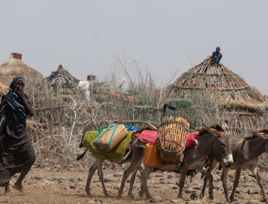 Eine wachsende Gesundheitskrise am Horn von Afrika, während sich akuter Hunger ausbreitet