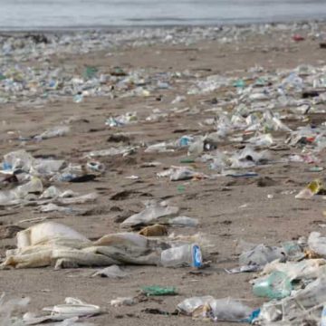 Jahrelang essen, trinken und atmen: Wissenschaftler finden überall Mikroplastik