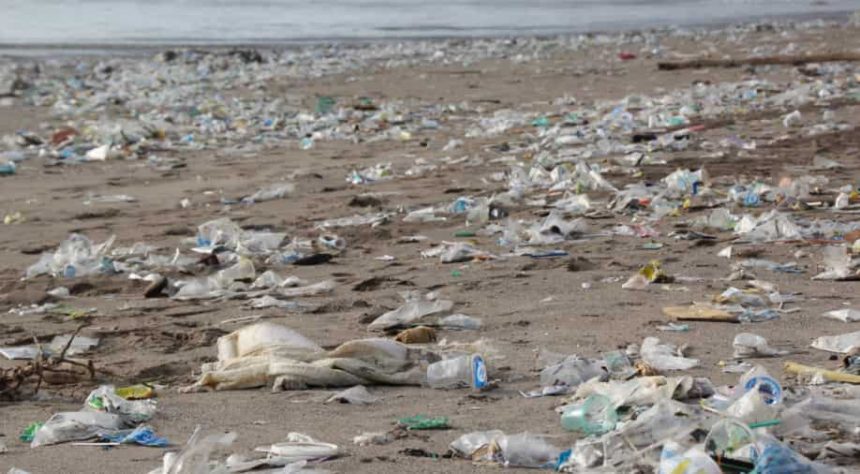 Jahrelang essen, trinken und atmen: Wissenschaftler finden überall Mikroplastik