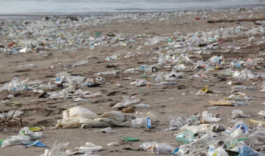 Jahrelang essen, trinken und atmen: Wissenschaftler finden überall Mikroplastik