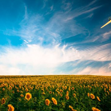 5 Gründe, um auf erneuerbare Energien umzusteigen, was auch immer Ihre aktuellen Pläne sind