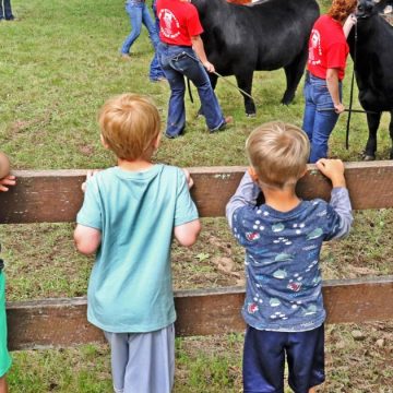 Mit der North Stonington Agricultural Fair kehren Fahrgeschäfte, Wettbewerbe und Festivals zurück |  Entertainment