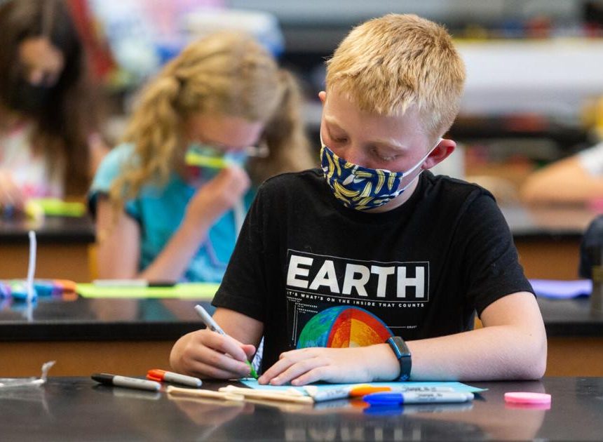 Tiere aller Art stehen im Mittelpunkt des Wissenschaftscamps – Huntington Herald Dispatch