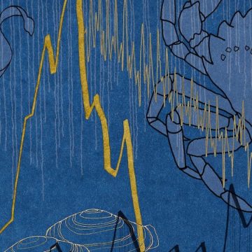 Die Familienwissenschaftsnacht wird eine Ausstellung über die Dynamik von Ökosystemen umfassen