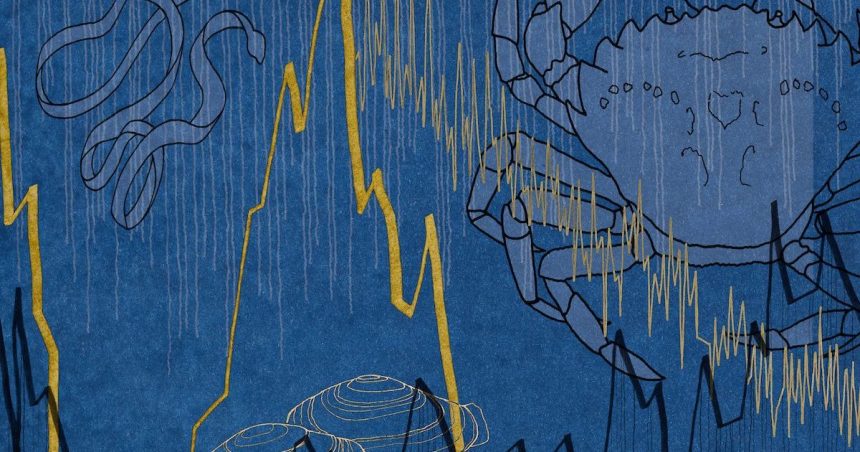 Die Familienwissenschaftsnacht wird eine Ausstellung über die Dynamik von Ökosystemen umfassen