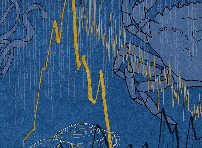 Die Familienwissenschaftsnacht wird eine Ausstellung über die Dynamik von Ökosystemen umfassen