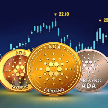 Gründe, warum ADA im aktuellen Krypto-Bärenmarkt boomt