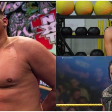 Wie sahen sie in NXT aus?