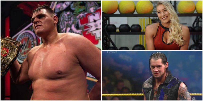 Wie sahen sie in NXT aus?