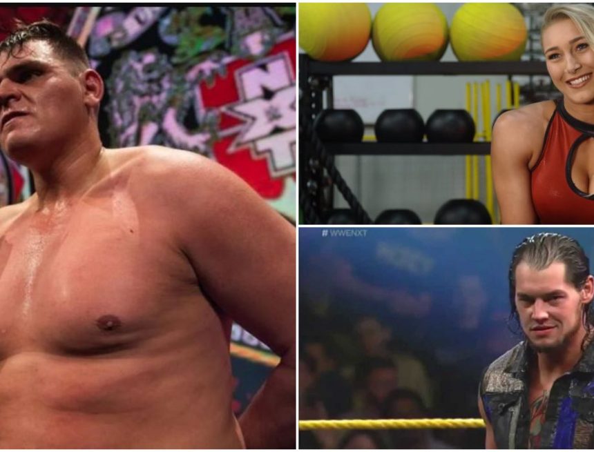 Wie sahen sie in NXT aus?