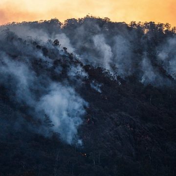 Die MSU Science Gallery veranstaltet ein Jugendsymposium zum Klimawandel