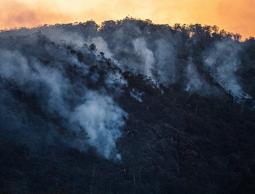 Die MSU Science Gallery veranstaltet ein Jugendsymposium zum Klimawandel