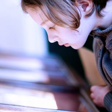 Sie sind wahrscheinlich besser in Naturwissenschaften, als Sie denken, das zeigt eine neue „Citizen Science“-Studie