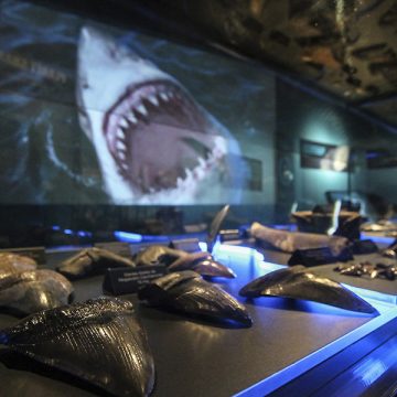 Genießen Sie ein Mittagessen, um im Science Museum of Virginia über Haie und Dinosaurier zu sprechen