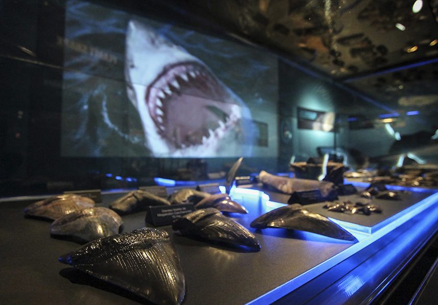 Genießen Sie ein Mittagessen, um im Science Museum of Virginia über Haie und Dinosaurier zu sprechen