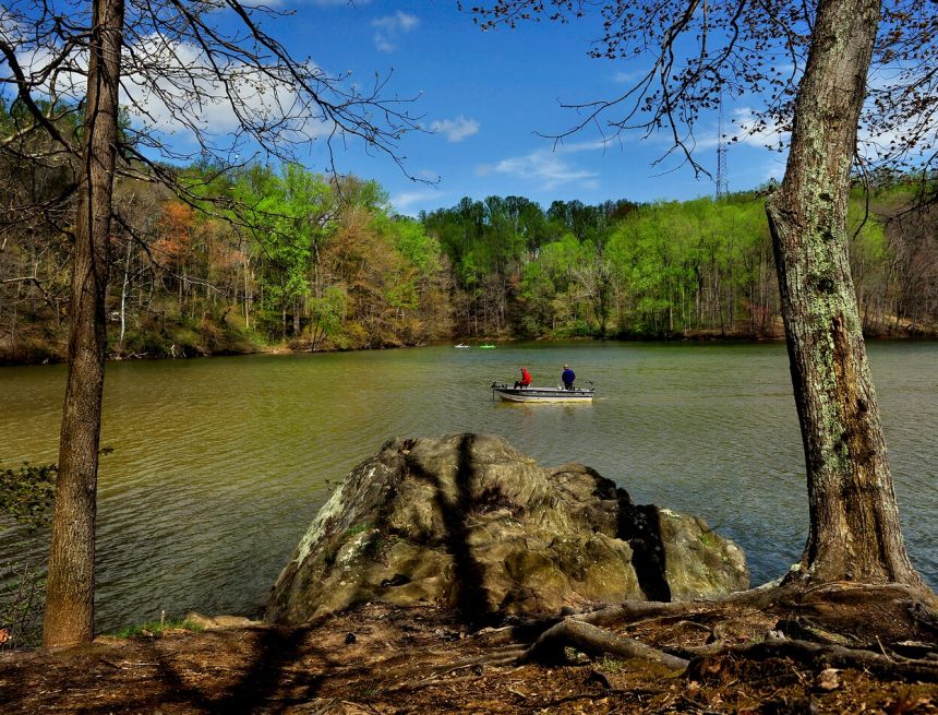 Algenblüte löst Gesundheitsempfehlung für das Triadelphia-Reservoir des WSSC aus