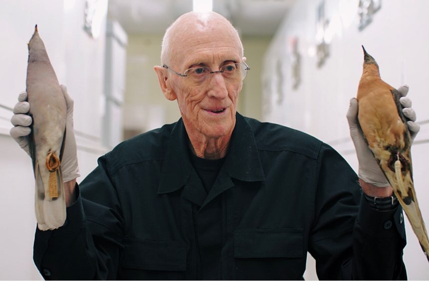 Stewart Brand Doc „We Are As Gods“ verkauft an Greenwich Entertainment