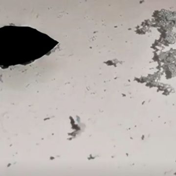 Chinesische Wissenschaftler entwickeln Roboterfische, die Mikroplastik verschlingen