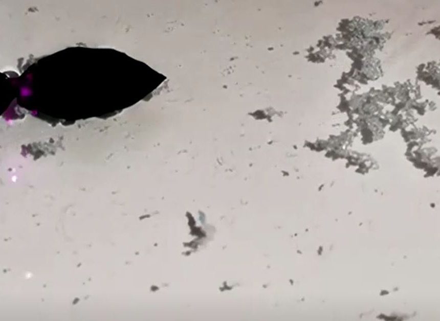 Chinesische Wissenschaftler entwickeln Roboterfische, die Mikroplastik verschlingen