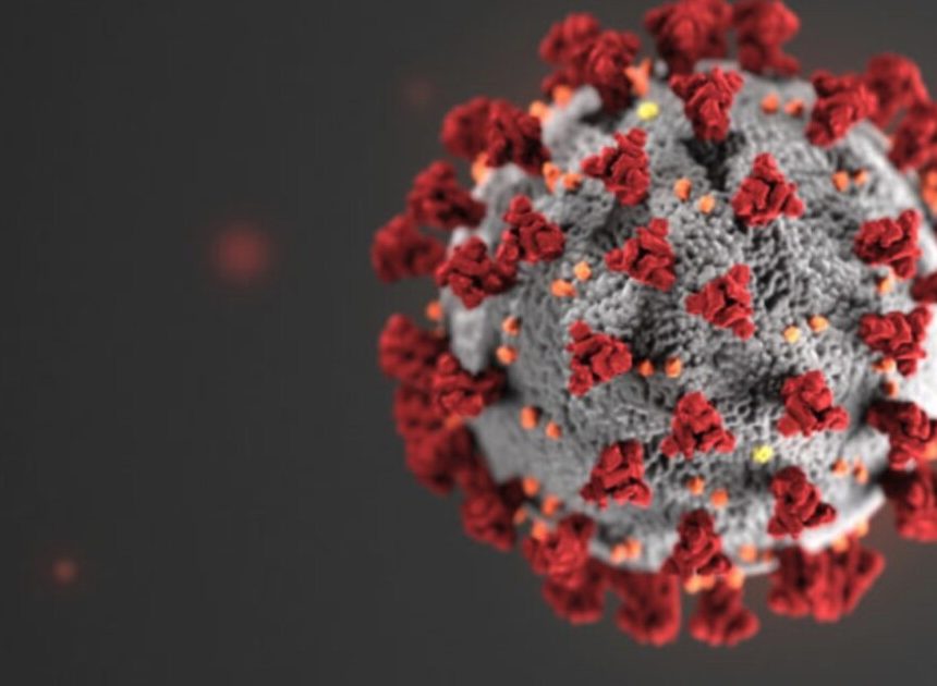 Experten sagen, dass der aktuelle COVID-Anstieg auf die bisher ansteckendsten Untervarianten zurückzuführen ist