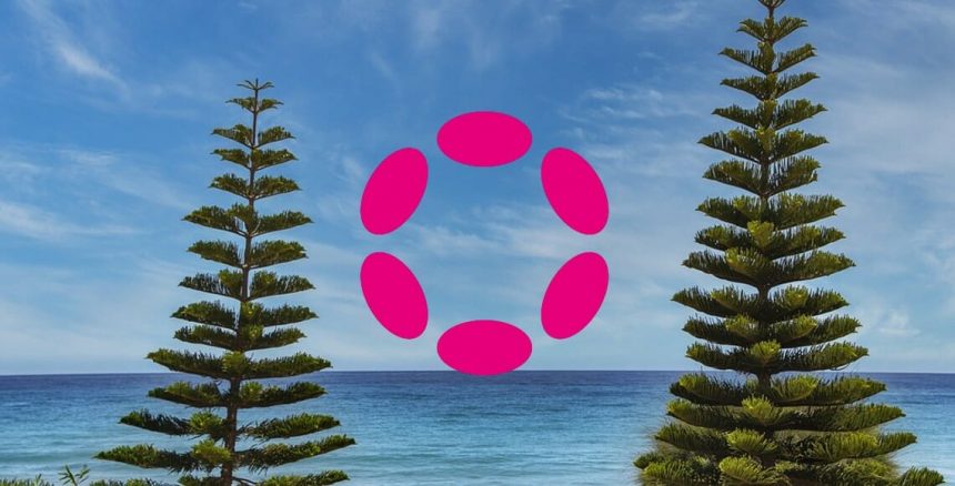 Polkadot-Preisanalyse: DOT könnte bis auf 5 $ fallen, bevor das aktuelle Tief stoppt CryptoBlog