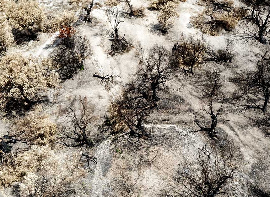 Die EU warnt davor, dass die aktuelle Dürre durch die Ausbreitung der Brände die „schlimmste aller Zeiten“ werden könnte