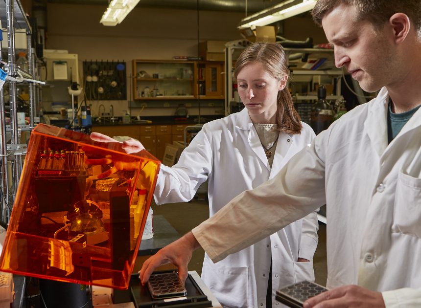 MSU-Forscher stellen 3D-Drucktechnologie vor, die die Biofilmwissenschaft voranbringen könnte – Montana State University