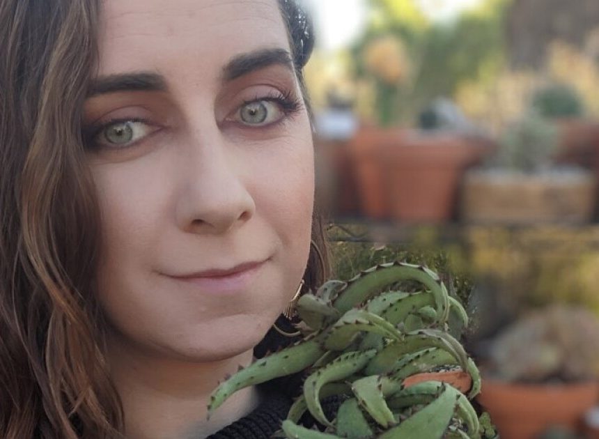 Die besten Wetten: eine Kurzanleitung zu Online- und persönlicher Unterhaltung und Erlebnissen