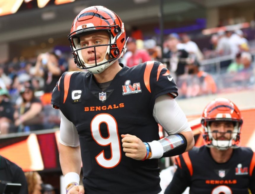 Cincinnati neckt ‚White Bengal‘-Look in einem Instagram-Video Cincinnati neckt ‚White Bengal‘-Look in einem Instagram-Video