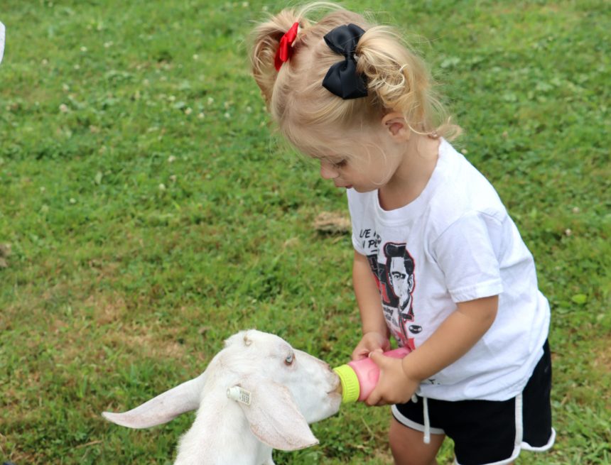 Unterhaltung und andere Attraktionen für August Fun Fest geplant