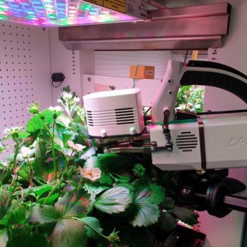 Light Science Technologies stärkt seine Partnerschaft mit der University of Nottingham