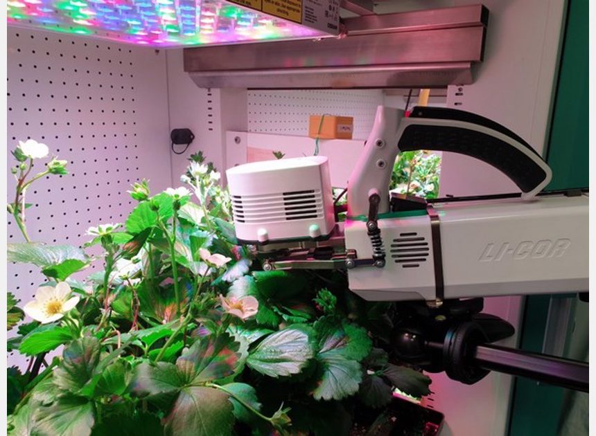 Light Science Technologies stärkt seine Partnerschaft mit der University of Nottingham