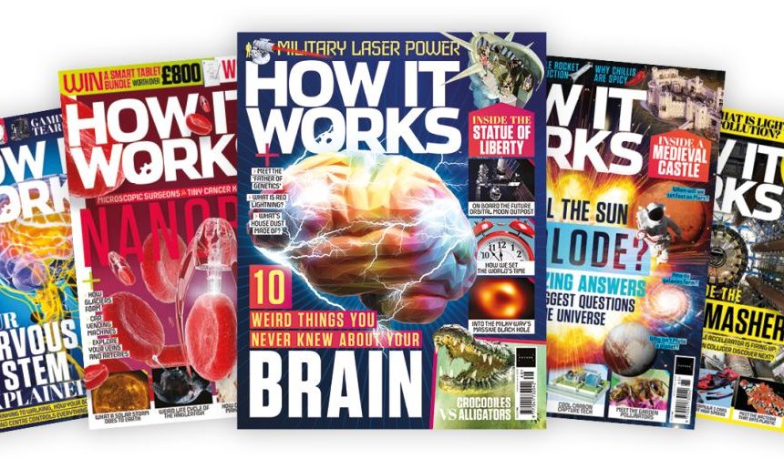 Kennst du wirklich dein eigenes Gehirn?