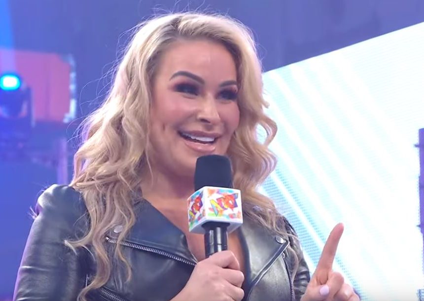 Welche aktuellen WWE NXT-Frauen heben sich von Natalya ab?