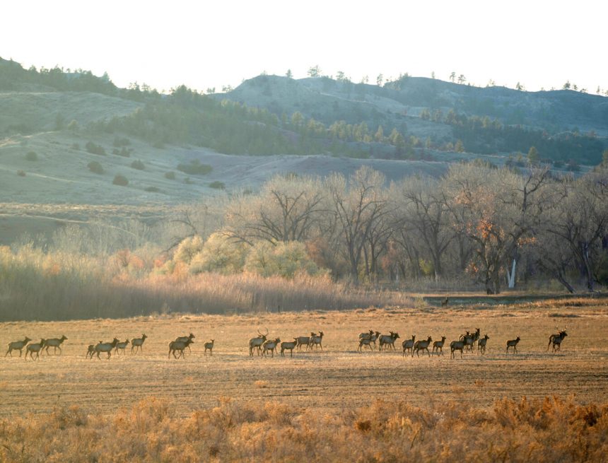 Jäger nach Rosendale: Lassen Sie die Bundeserhaltungsfinanzierung nicht ab