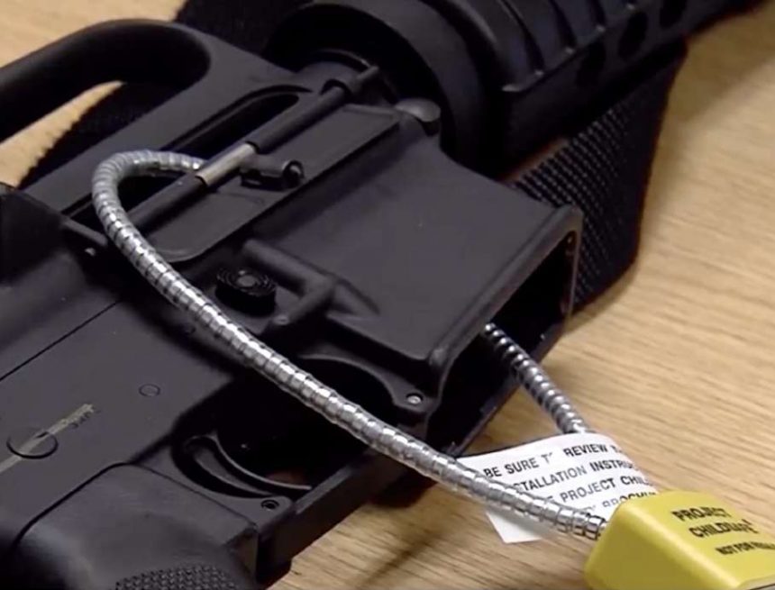 Cops und Experten für psychische Gesundheit: Warten Sie nicht, um Ihre Waffe zu sichern