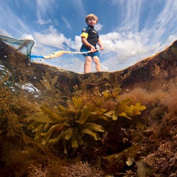 How to Rock Pool: Die überraschende Wissenschaft des nächsten Strandes