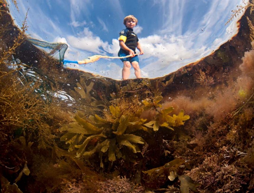 How to Rock Pool: Die überraschende Wissenschaft des nächsten Strandes