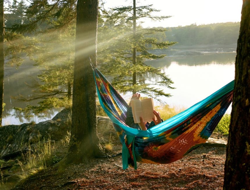 Die Sommerbuchliste 2022 zur Wissenschaft des Schweißes