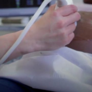 Das Reh v.  Wade beunruhigt Fachleute für psychische Gesundheit
