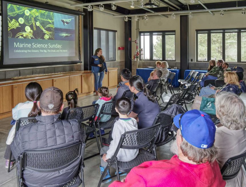 Meereskunde Sonntag –